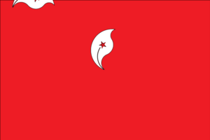 Flag of Hong Kong.svg