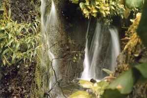 Marcos y Corderos.jpg