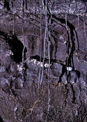 Tubular lava stalactites.jpg