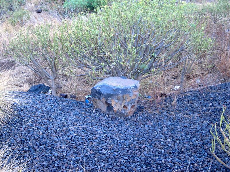 Archivo:Zona La Gallega.jpg