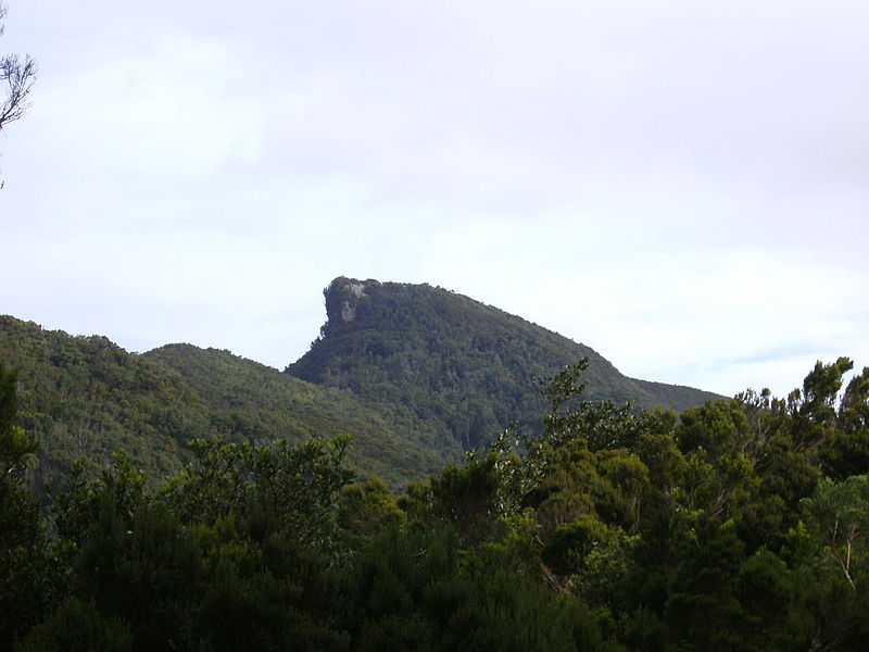 Archivo:Chinobre (Anaga).JPG