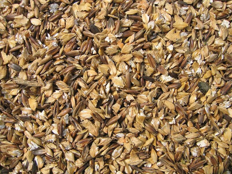 Archivo:Céréales aplaties.jpg