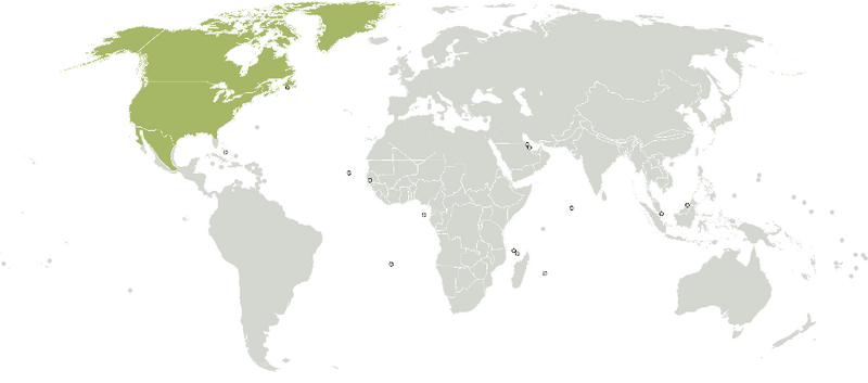 Archivo:Ecozone Nearctic.svg