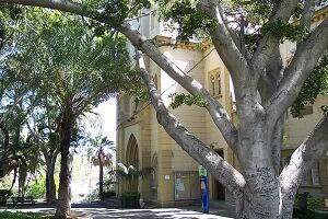 Parque Cultural Viera y Clavijo (Santa Cruz de Tenerife).jpg