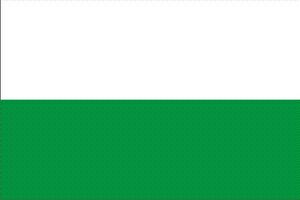 Bandera tegueste.jpg