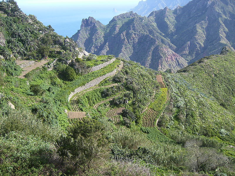 Archivo:Huertas en Taborno (Tenerife).JPG