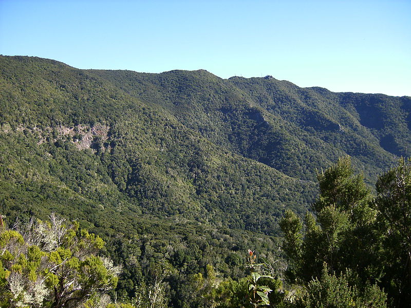 Archivo:Monte Aguirre.JPG