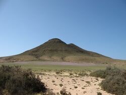 Volcano Pink Field.JPG