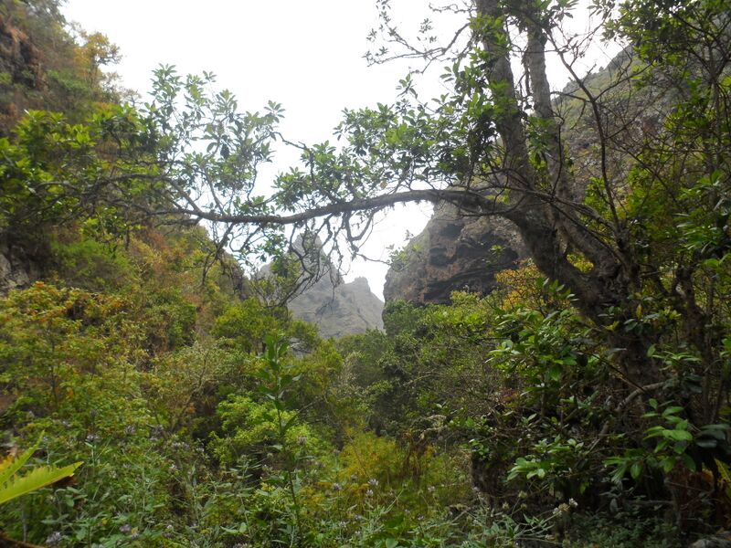 Archivo:Monte del Agua 4.JPG