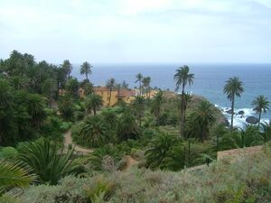 Rambla de Castro-Palmeral.JPG