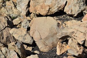 Petroglifos Teneguia.jpg