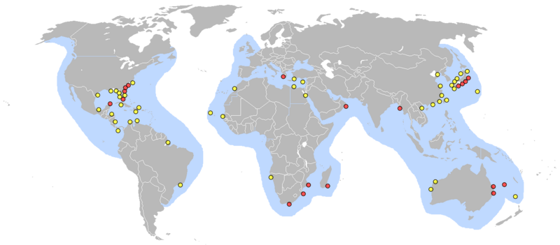 Archivo:Lieux pontes tortue caouanne.png