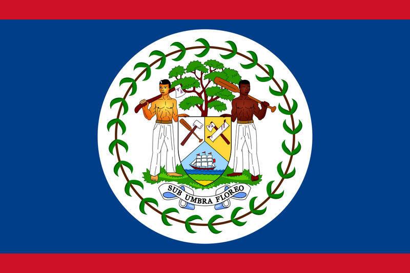 Archivo:Flag of Belize (1981–2019).png