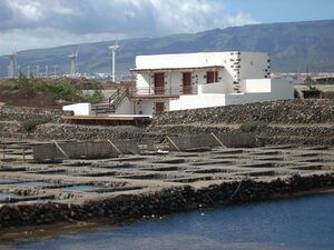 Arinaga salinas 01.JPG