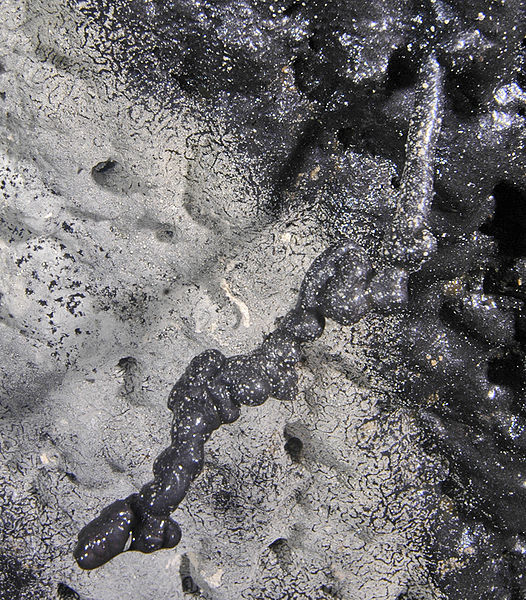 Archivo:Tubular lava helictite.jpg