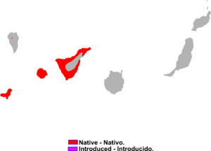 Chalcides viridanus range Map.png