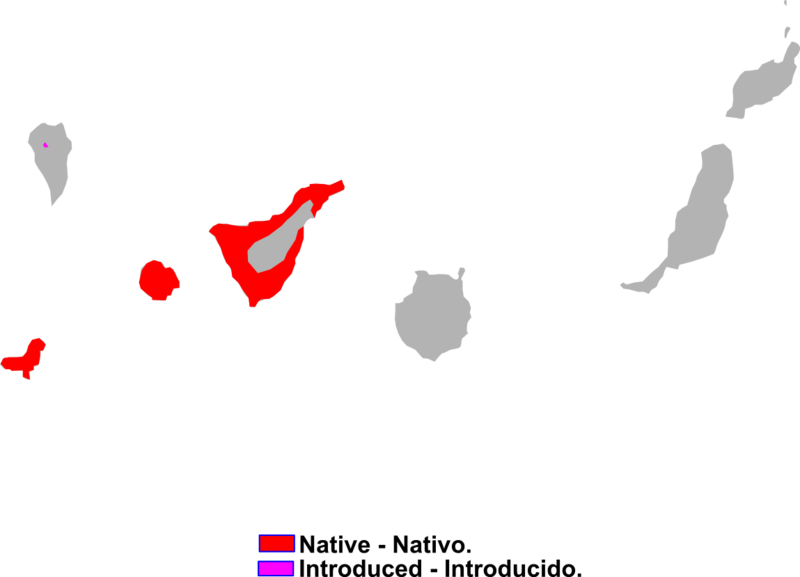 Archivo:Chalcides viridanus range Map.png