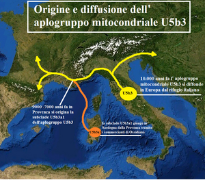 U5b3 haplogroup.png