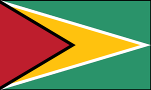 Flag of Guyana.svg