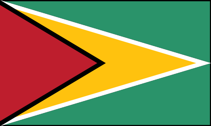 Archivo:Flag of Guyana.svg
