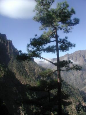 La Cumbrecita PIC00028.JPG