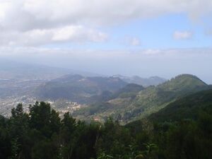 Mirador Cruz del Carmen-Panorámica Vega Lagunera.jpg