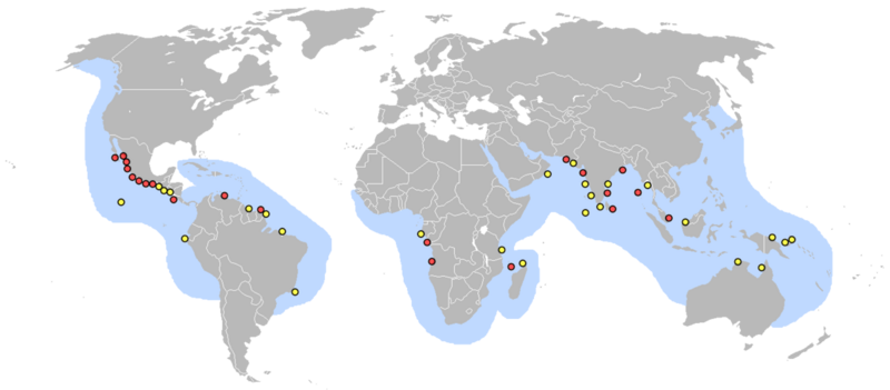 Archivo:Lieux pontes tortue olivatre.png