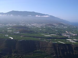 Plantation banana La Palma.jpg