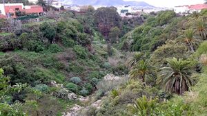 Barranco de agua de Dios 01.jpg