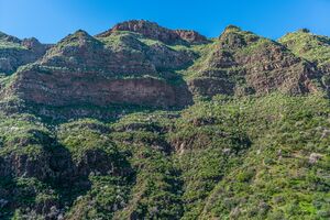 Barranco de Guayadeque 2016 03.jpg