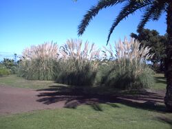 PICT0052.JPG
