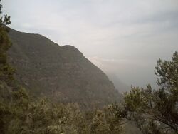 Garajonay066.JPG