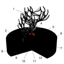 Hawaiian Eruption-numbers.svg