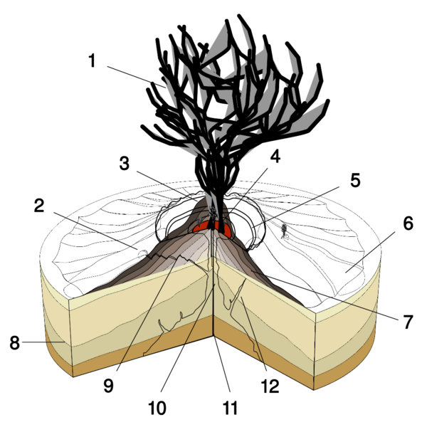 Archivo:Hawaiian Eruption-numbers.svg