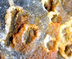 Pseudomorphose 002.jpg