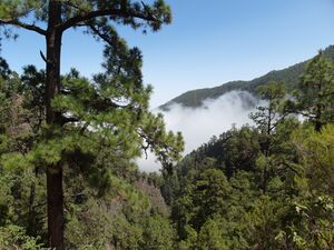 Barranco del agua 05.JPG