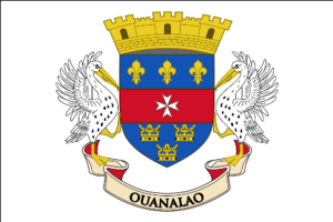 Flag of Saint Barthélemy (local).svg