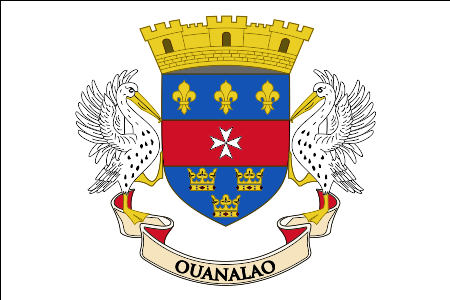 Archivo:Flag of Saint Barthélemy (local).svg