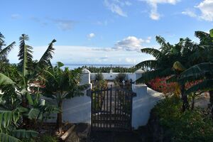 Cementerio San Andrés.jpg