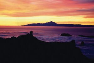 N536938184 932144 6957.jpg