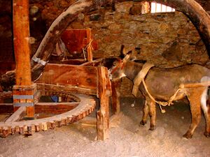Horse mill 045493.jpg