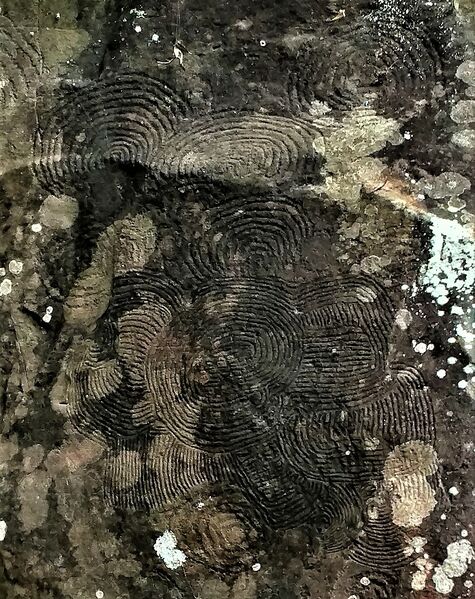 Archivo:La Zarza detalle.jpg