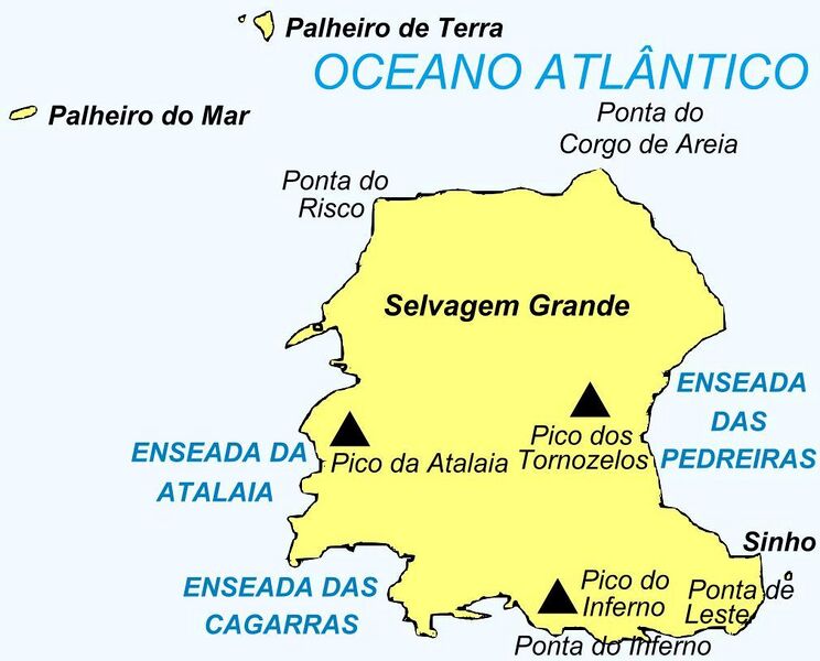 Archivo:Ilha Selvagem Grande.jpg