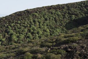 Costa de Hiscaguán.jpg