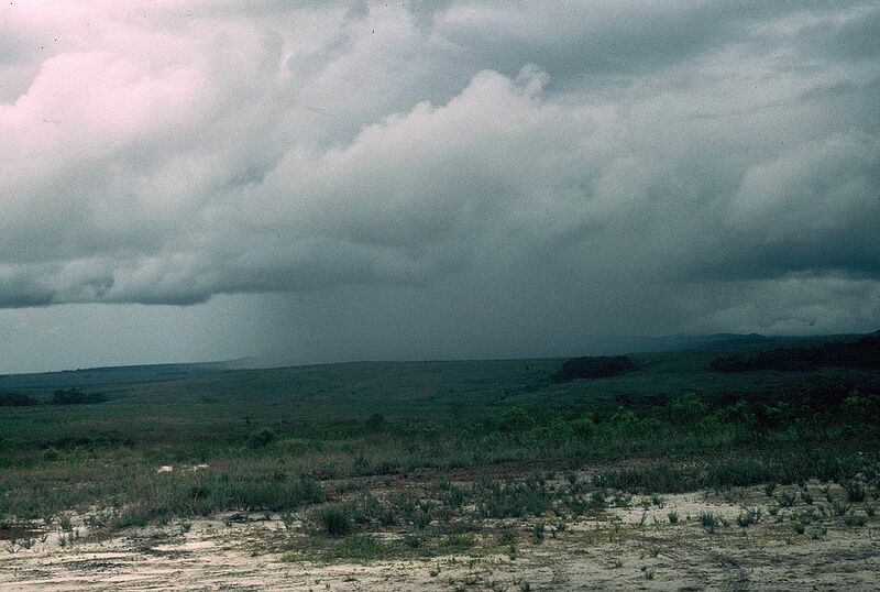 Archivo:0169 Lluvia en la Gran Sabana.jpg