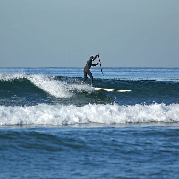 Archivo:Paddle surfing 3 2008.jpg