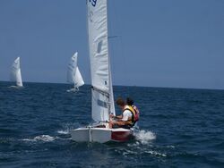 Aureliano Negrin 2011 Snipe.JPG