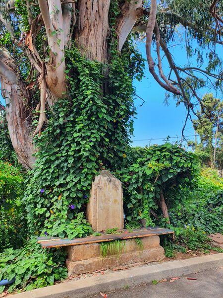 Archivo:Chorro de abasto.jpg