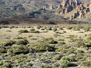 Teide National Park 02.jpg