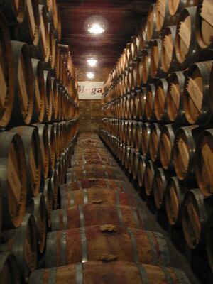 Wine barrels in La Rioja.jpg